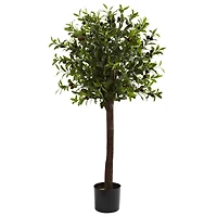 4ft. Potted Olive Topiary Tree