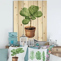 Designart - Ficus Lyre In Clay Flowerpot - Traditional Print on Natural Pine Wood