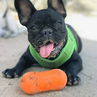 Ruff Dawg™ Weenut Crunch Rubber Indestructible Retrieving Dog Toy