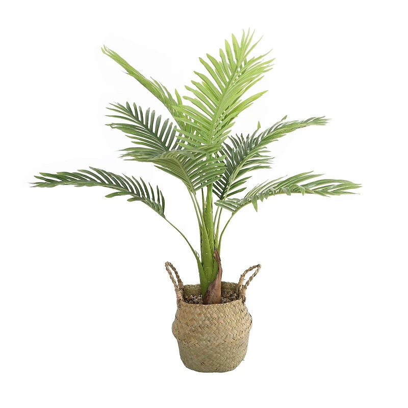Flora Bunda® 3ft. Big Palm in Basket Planter