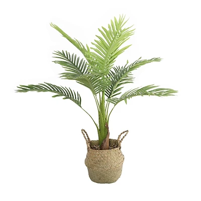 Flora Bunda® 3ft. Big Palm in Basket Planter