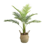 Flora Bunda® 3ft. Big Palm in Basket Planter
