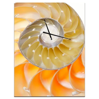 Designart 'Isolated Nautilus Shell Modern Rectangular Wall Clock