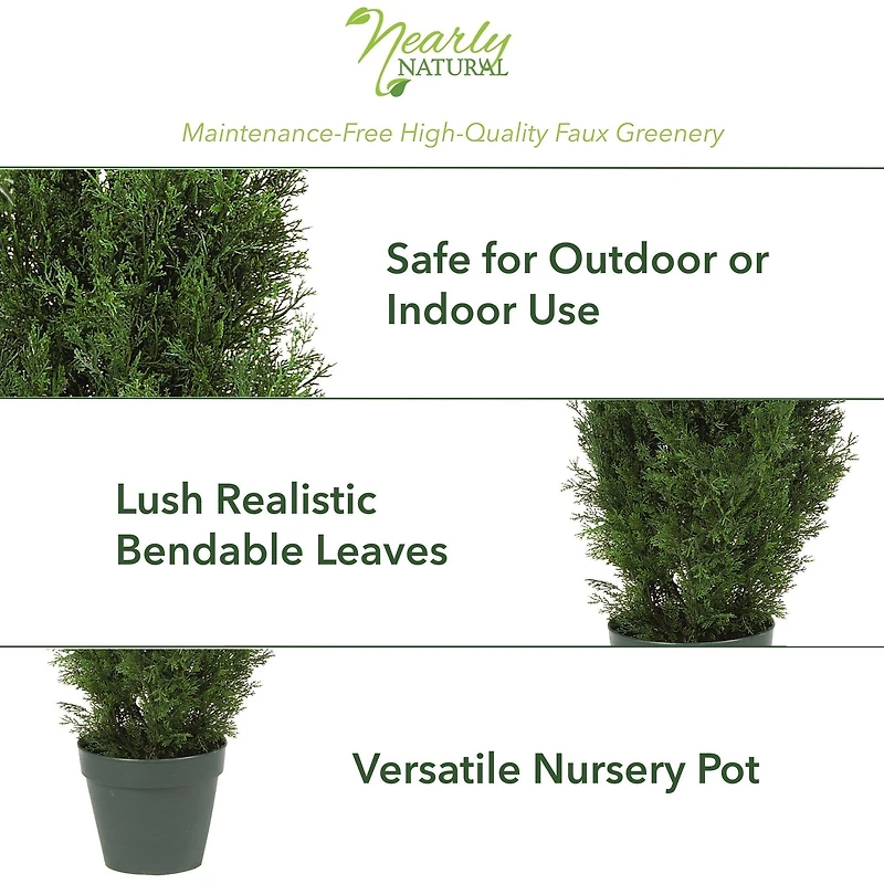 4ft. Potted Cedar Pine Tree