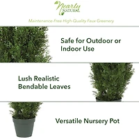 4ft. Potted Cedar Pine Tree