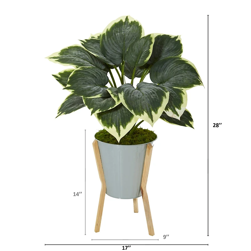 2.5ft. Hosta Plant in Green Planter with Stand
