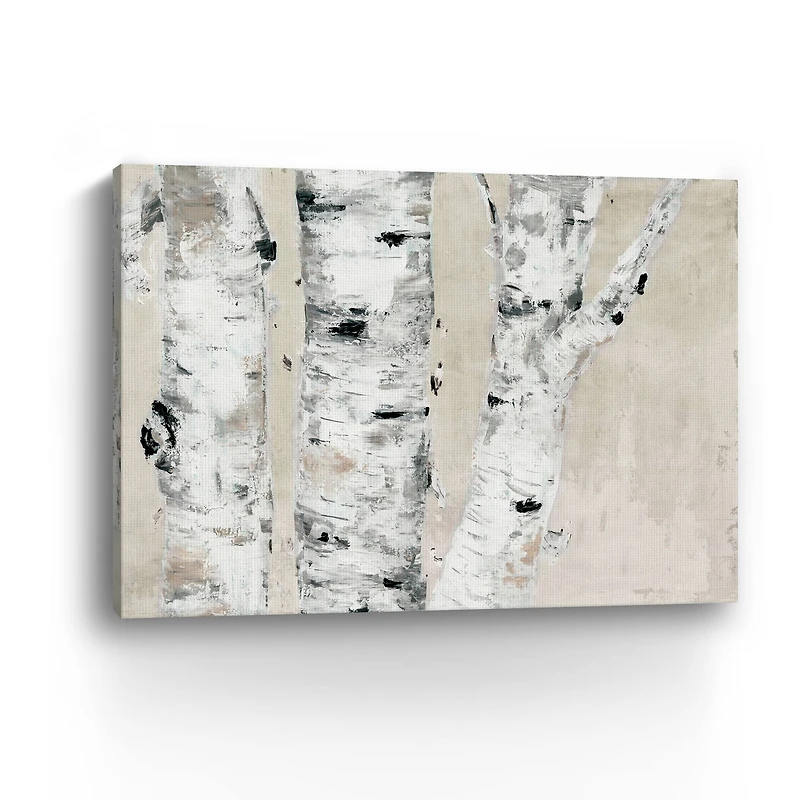 Birch Tree Close Up Neutral Canvas Giclee