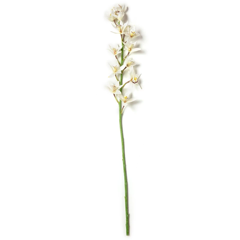 8 Pack: Cream Boat Orchid Stem by Ashland®