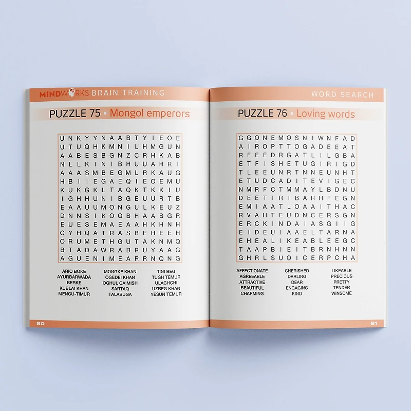 Mindworks Brain Training Word Search Puzzles