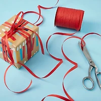 75yd. Raffia Ribbon by Celebrate It