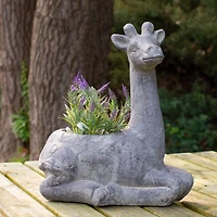 16" Gray Seated Giraffe Outdoor Garden Planter