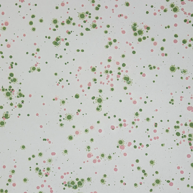 Hello Honey® 10.5" Mint & Pink Splatter Enameled Metal Platter