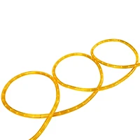 Gold Incandescent Outdoor Christmas Rope Lights - 18 ft