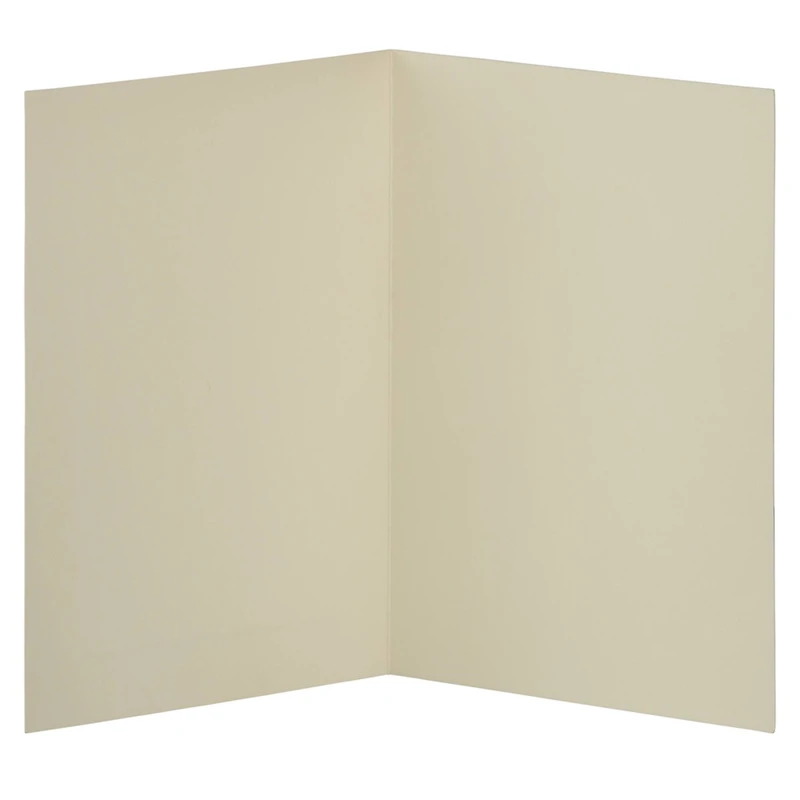 JAM Paper 4.62" x 6.25" Ivory Panel Blank Foldover Cards