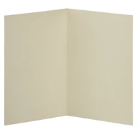 JAM Paper 4.62" x 6.25" Ivory Panel Blank Foldover Cards