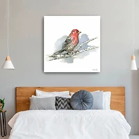 Birds Branches IV House Finch Canvas Giclee