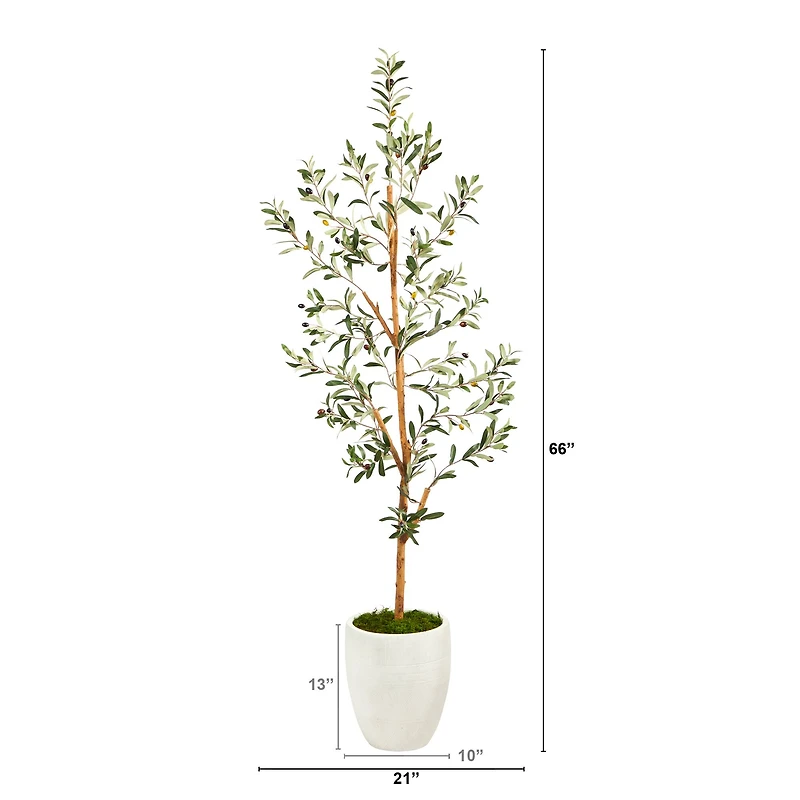 5.5ft. Olive Artificial Tree in White Planter