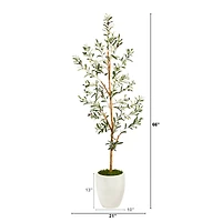 5.5ft. Olive Artificial Tree in White Planter