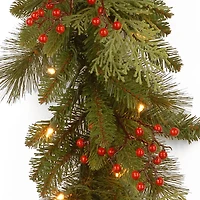 9ft. Clear Lights Mixed Evergreen Classical Collection Garland