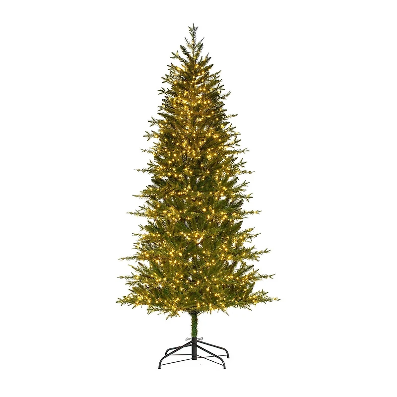 7ft. Pre-Lit Asheville Artificial Christmas Tree, Warm White LED Lights