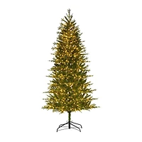 7ft. Pre-Lit Asheville Artificial Christmas Tree, Warm White LED Lights