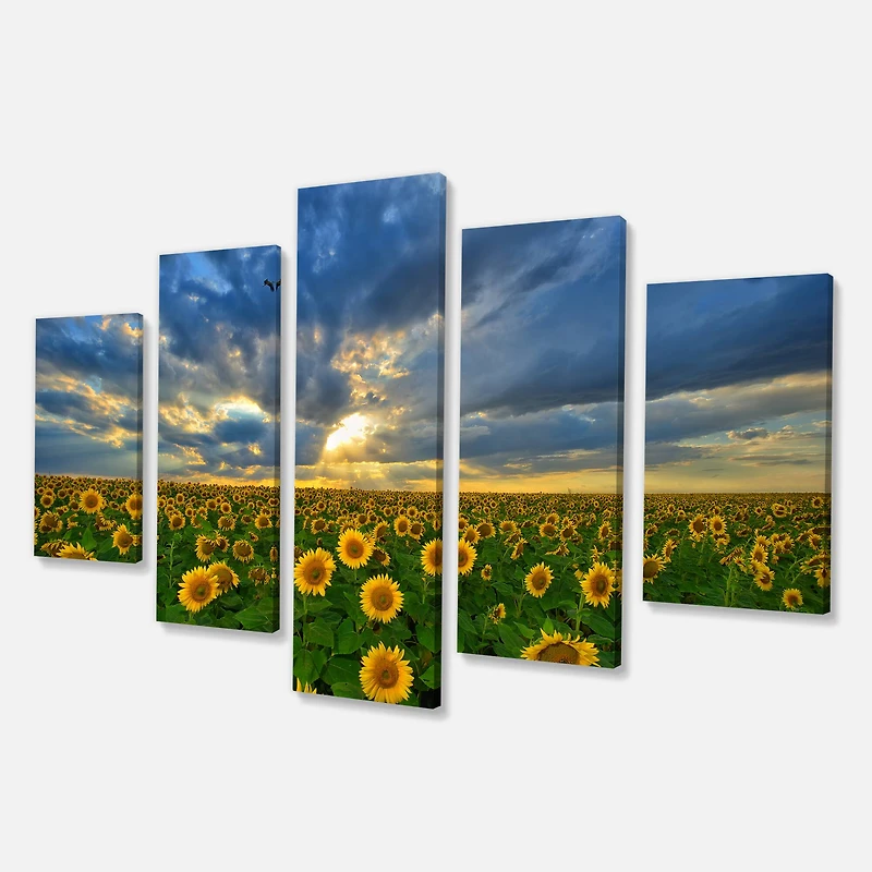 Designart - Beauty Sunset over Sunflowers