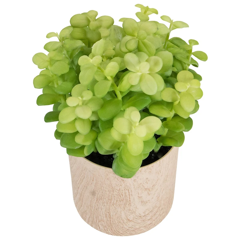 10" Green Privet Plant in Faux Wood Pot