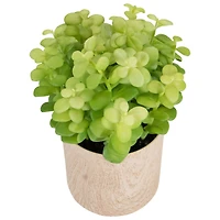 10" Green Privet Plant in Faux Wood Pot
