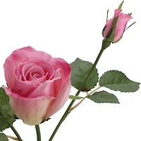 6 Pack: Pink Rose Spray by Ashland®