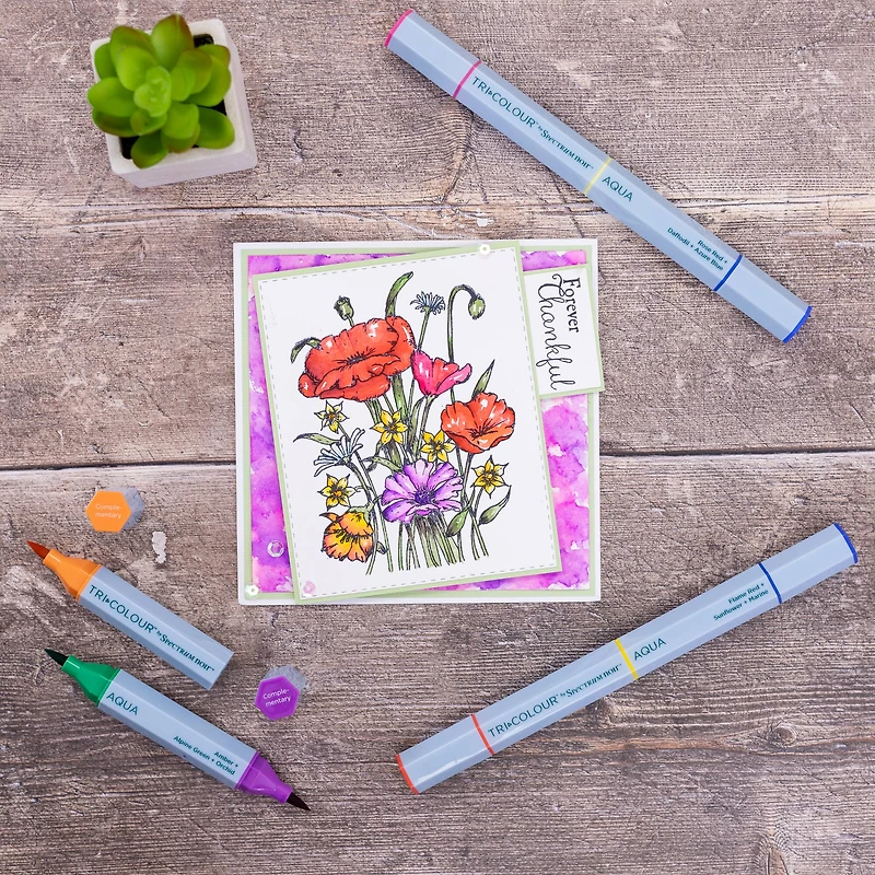 Spectrum Noir™ TriColour™ Aqua Colour Basics Marker Set