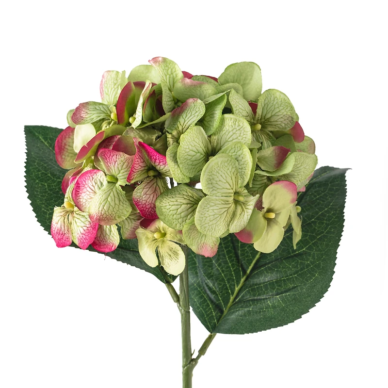 12 Pack: Green Hydrangea Stem by Ashland®