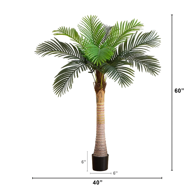 5ft. Potted Coconut Palm Tree
