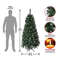 6ft. Pre-Lit Acacia Artificial Christmas Tree, Clear Lights