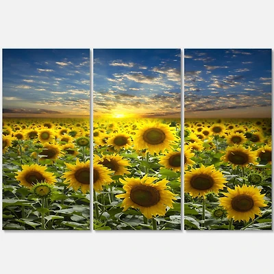 Designart - Field of Blooming Sunflowers