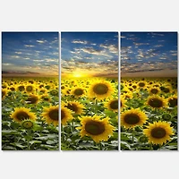 Designart - Field of Blooming Sunflowers
