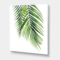 Designart - Detail Tropical Palm Branches