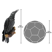 Design Toscano 18" The Raven's Perch Wall Sculpture