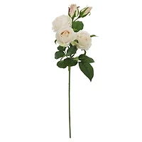 25" Cream Cabbage Rose Stem by Ashland®