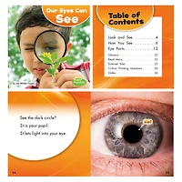 Capstone Press Our Amazing Senses Set