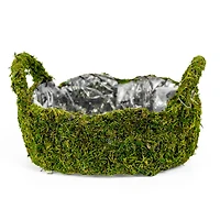 9" Decorative Moss Basket by Ashland®