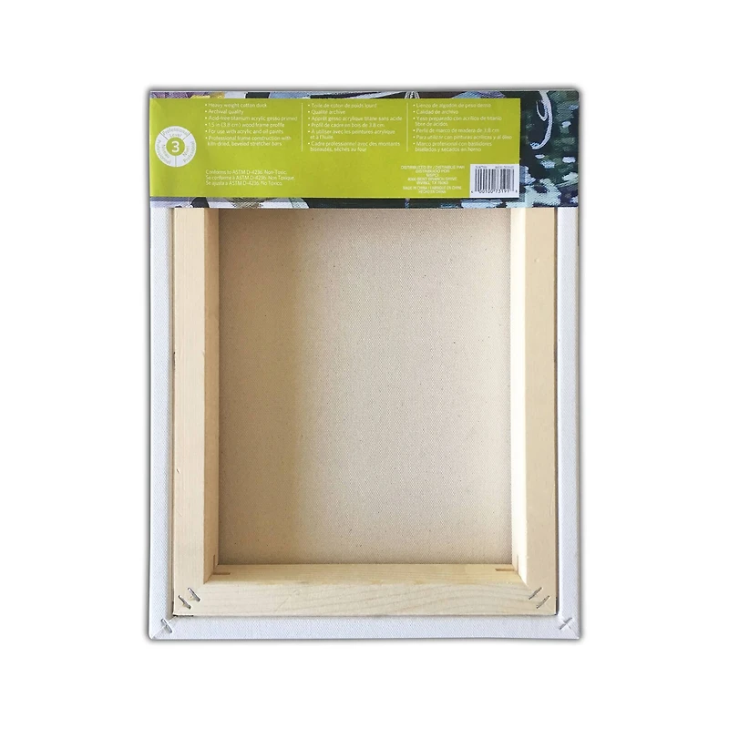 Level 3 Gallery Wrapped Heavy Duty Canvas by Artist's Loft