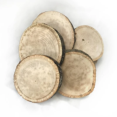 Wilson® Enterprises Small Basswood Ornament Seconds, 50ct.