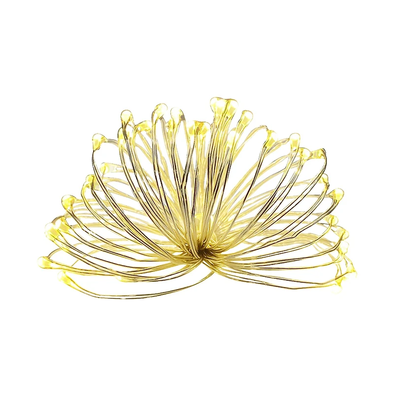 36ct. Warm White LED String Lights by Ashland®