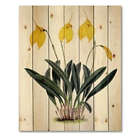 Designart - Retro Orchid Flowers