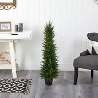 3.5ft. Potted Cypress Tree