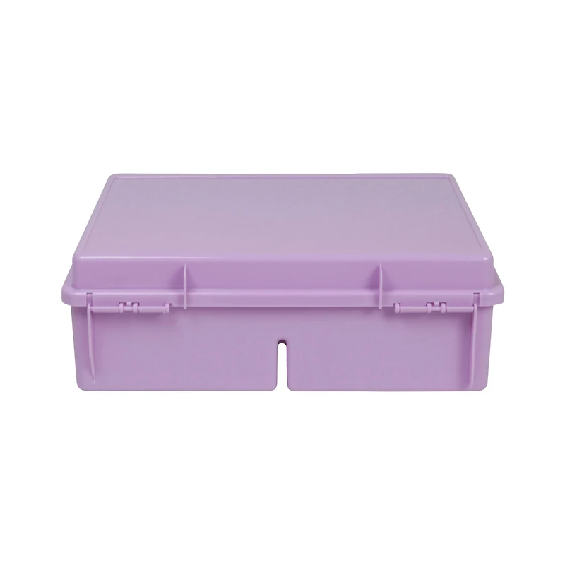 Everything Mary Purple 16 Case 4" x 6" Photo Storage Box