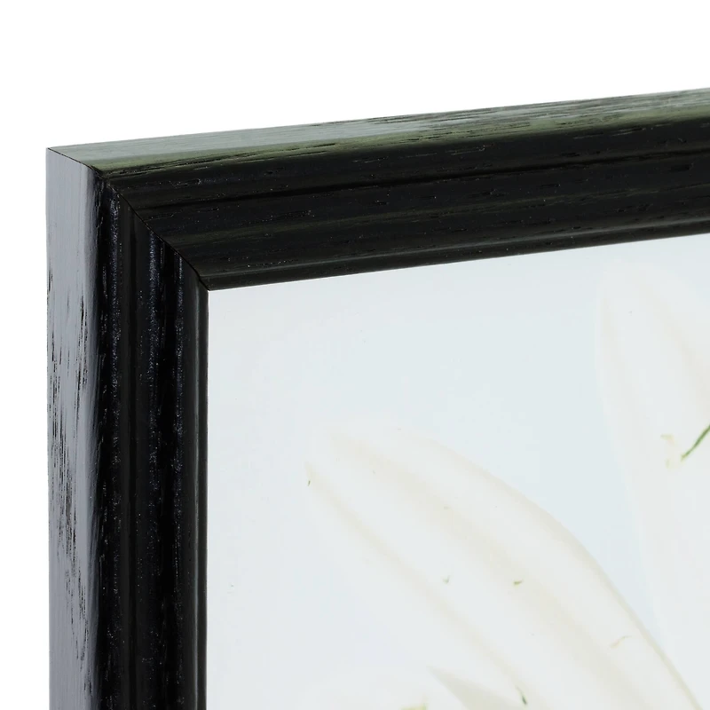 Craig Frames Wiltshire 200 Ebony Picture Frame with Mat