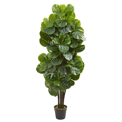 5ft. Potted Fiddle Leaf Fig Tree