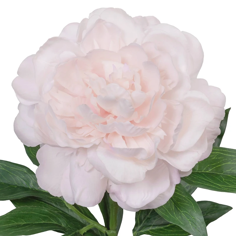 25.5" Peony Real Touch Stem by Ashland