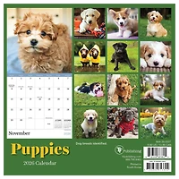 2026 Puppies Mini Calendar